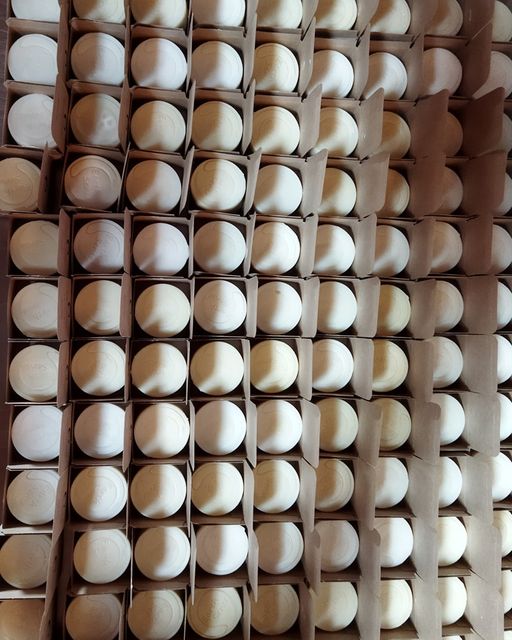 Hair Care - Duo Pack - Organic Solid Shampoo & Organic Concentrated